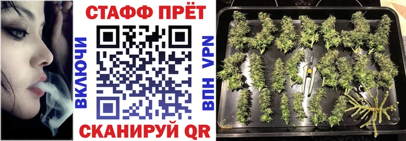 NBOMe Игра