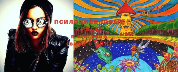 индика Алексеевка